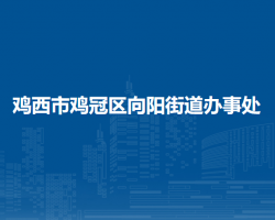 鸡西市鸡冠区向阳街道办事处