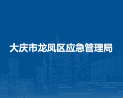大庆市龙凤区应急管理局