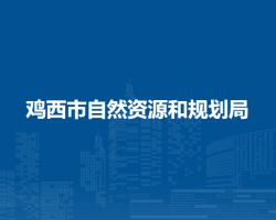 鸡西市自然资源和规划局