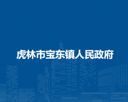 虎林市宝东镇人民政府