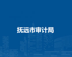 抚远市审计局