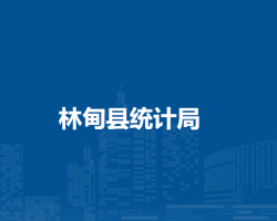 林甸县统计局