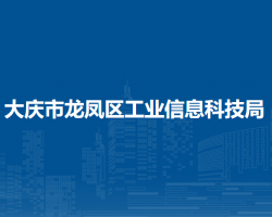 大庆市龙凤区工业信息科技
