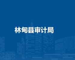 林甸县审计局