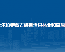 杜尔伯特蒙古族自治县林业