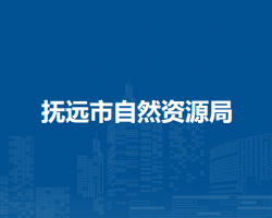 抚远市自然资源局
