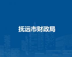抚远市财政局