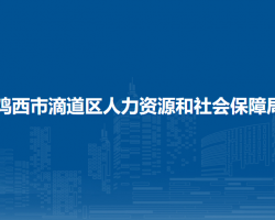 鸡西市滴道区人力资源和社会保障局