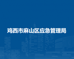 鸡西市麻山区应急管理局