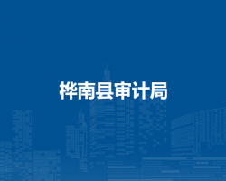桦南县审计局
