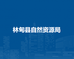 林甸县自然资源局