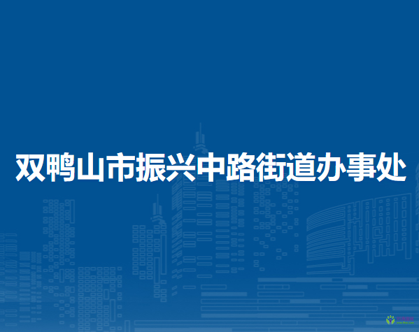 双鸭山市四方台区振兴中路街道办事处