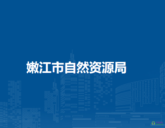 嫩江市自然资源局