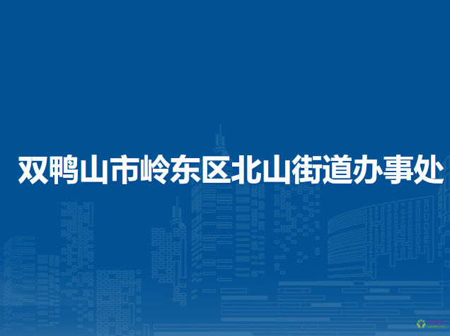 双鸭山市岭东区北山街道办事处