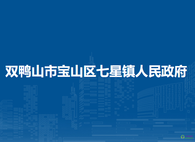 双鸭山市宝山区七星镇人民政府
