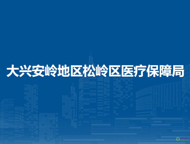 大兴安岭地区松岭区医疗保障局