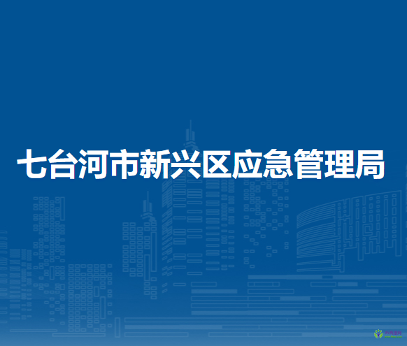 七台河市新兴区应急管理局