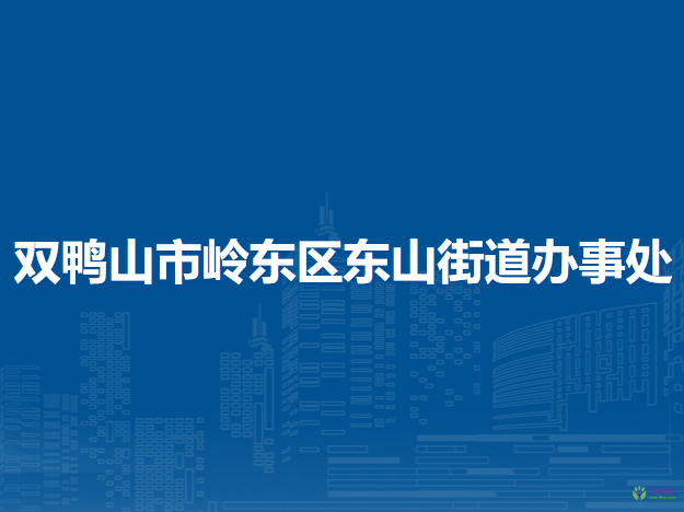 双鸭山市岭东区东山街道办事处