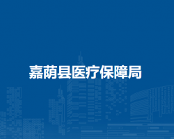 嘉荫县医疗保障局