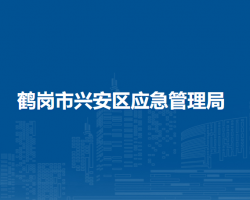 鹤岗市兴安区应急管理局