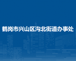 鹤岗市兴山区沟北街道办事处