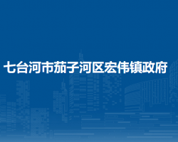 七台河市茄子河区宏伟镇政府