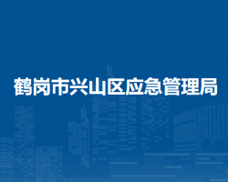 鹤岗市兴山区应急管理局