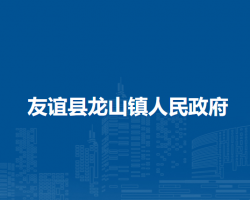 友谊县龙山镇人民政府