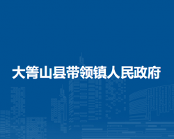 大箐山县带领镇人民政府政务服务网