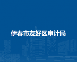 伊春市友好区审计局