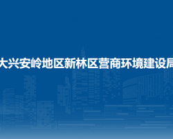 大兴安岭地区新林区营商环境建设局