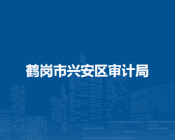 鹤岗市兴安区审计局