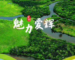黑河市爱辉区人民政府