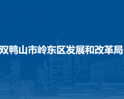 双鸭山市岭东区发展和改革局