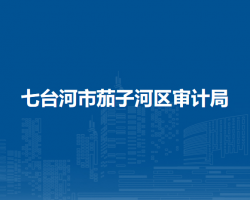 七台河市茄子河区审计局