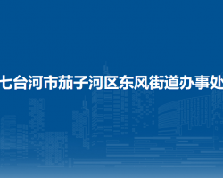 七台河市茄子河区东风街道办事处