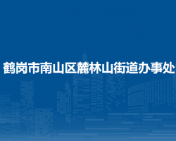 鹤岗市南山区麓林山街道办事处