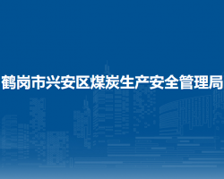 鹤岗市兴安区煤炭生产安全管理局