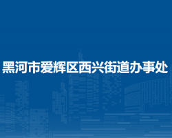 黑河市爱辉区西兴街道办事处默认相册
