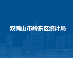 双鸭山市岭东区统计局
