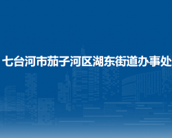 七台河市茄子河区湖东街道办事处