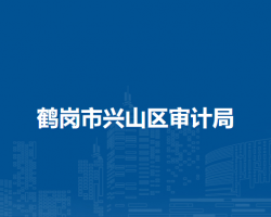 鹤岗市兴山区审计局