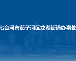 七台河市茄子河区龙湖街道办事处