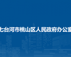 七台河市桃山区人民政府办公室