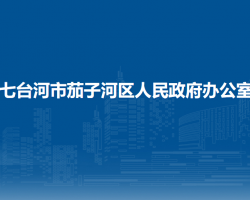 七台河市茄子河区人民政府办公室