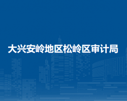 大兴安岭地区松岭区审计局
