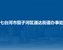 七台河市茄子河区通达街道办事处