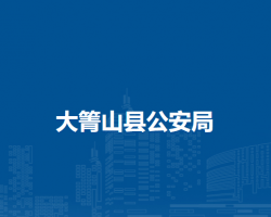 大箐山县公安局网上办事大厅