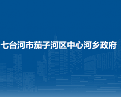 七台河市茄子河区中心河乡政府