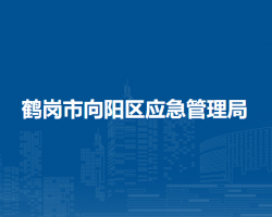 鹤岗市向阳区应急管理局